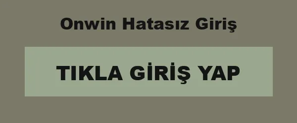 Onwin Hatasız Giriş infografik