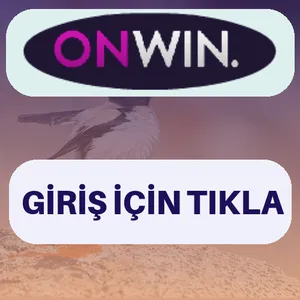 Onwin giriş